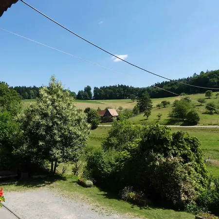 Holzerstube בית הארחה 3*